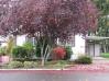 404 Lochaven Avenue Eugene Home Listings - Stephanie Coats Real Estate